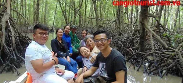 Du Lịch Rừng Ngập Mặn Cần Giờ Vàm Sát-những Điểm Đến Hấp Dẫn Nhất