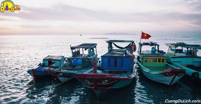 Tàu Đi Đảo Thạnh An