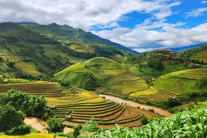 Giới Thiệu Về Ruộng Bậc Thang Mù Cang Chải – Kiệt Tác Của Thiên Nhiên Giới Thiệu Về Ruộng Bậc Thang Mù Cang Chải – Kiệt Tác Của Thiên Nhiên