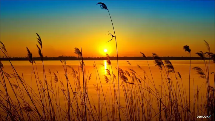 Hình Ảnh Cho Hình Ảnh Cảnh Hoàng Hôn Trên Biển: