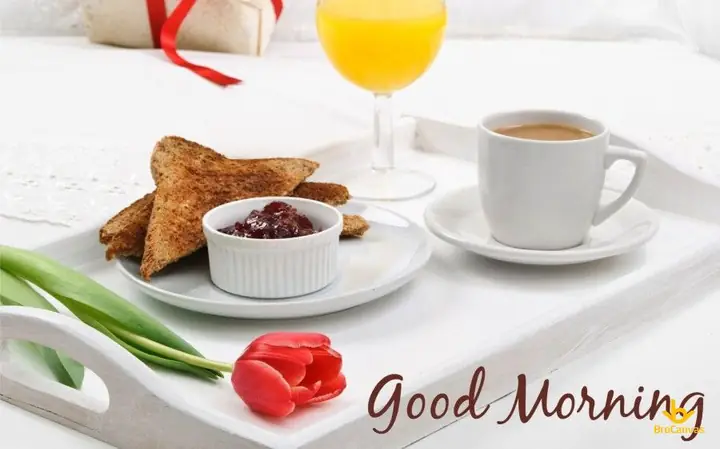 Hình Ảnh Chào Ngày Mới Hình Ảnh Chào Ngày Mới