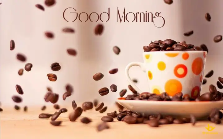 Ý Nghĩa Của Hình Ảnh Chào Ngày Mới Ý Nghĩa Của Hình Ảnh Chào Ngày Mới