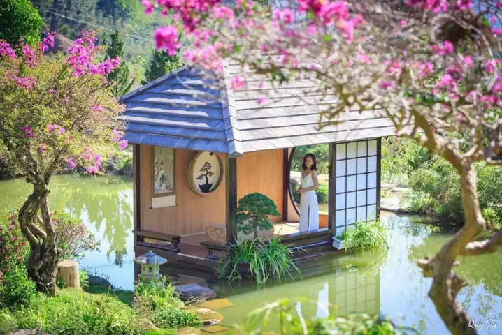 Vườn Hoa Nhật Bản Dưới Chân Đèo Mimosa