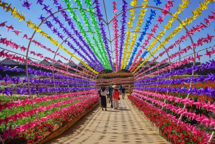 Lưu Ý Khi Di Chuyển, Trang Phục Phù Hợp