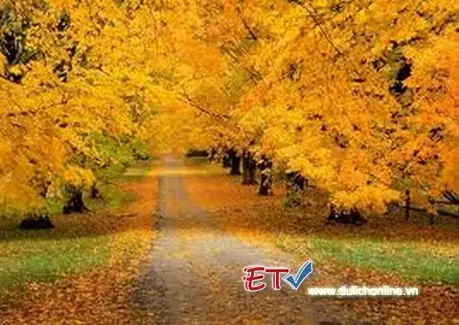 Hàn Quốc Mùa Thu Hàn Quốc Mùa Thu