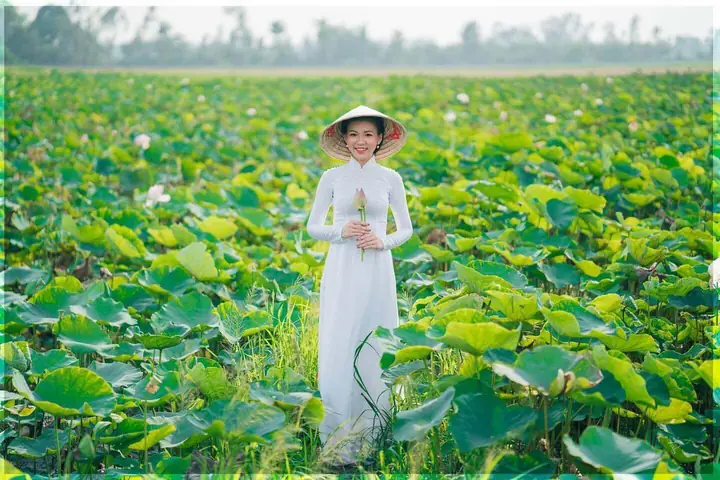 Nếu Bạn Muốn Được Cảm Giác Ngồi Giữa Cánh Đồng Sen Hồng Rộng Bao La, Và Thưởng Thức Món Đặc Sản Cây Nhà Lá Vườn Đậm Chất Miền Tây, Khu Du Lịch Sinh Thái Đồng Sen Tháp Mười Sẽ Không Làm Bạn Thất Vọng.