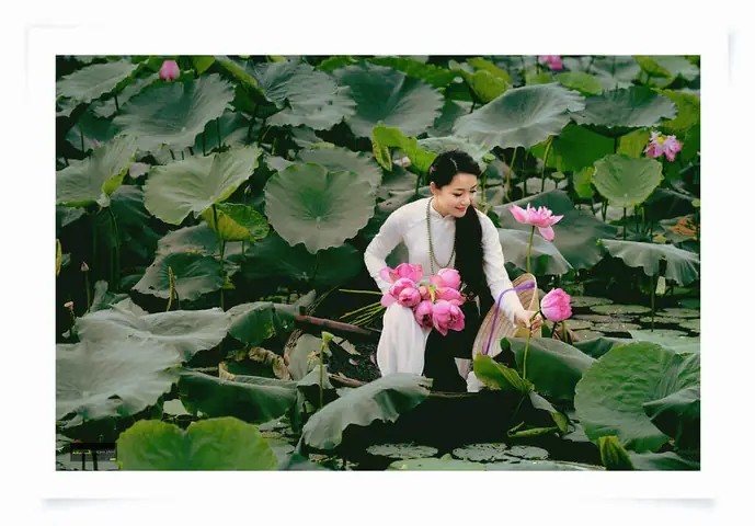 Nếu Bạn Muốn Được Cảm Giác Ngồi Giữa Cánh Đồng Sen Hồng Rộng Bao La, Và Thưởng Thức Món Đặc Sản Cây Nhà Lá Vườn Đậm Chất Miền Tây, Khu Du Lịch Sinh Thái Đồng Sen Tháp Mười Sẽ Không Làm Bạn Thất Vọng.