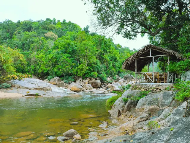 Trải Nghiệm Trekking Rừng Nguyên Sinh Đầy Hấp Dẫn