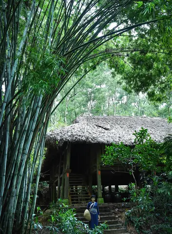 Khu Du Lịch Sinh Thái Nguyễn Gia