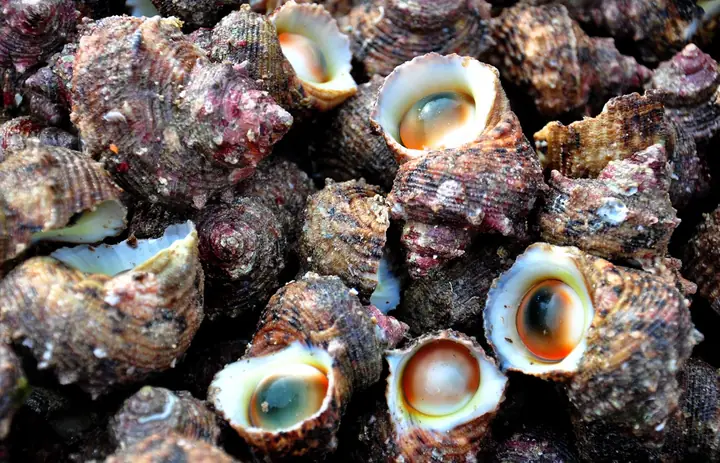 Thông Tin Hữu Ích Khi Đặt Lịch Bay Chu Lai Thông Tin Hữu Ích Khi Đặt Lịch Bay Chu Lai