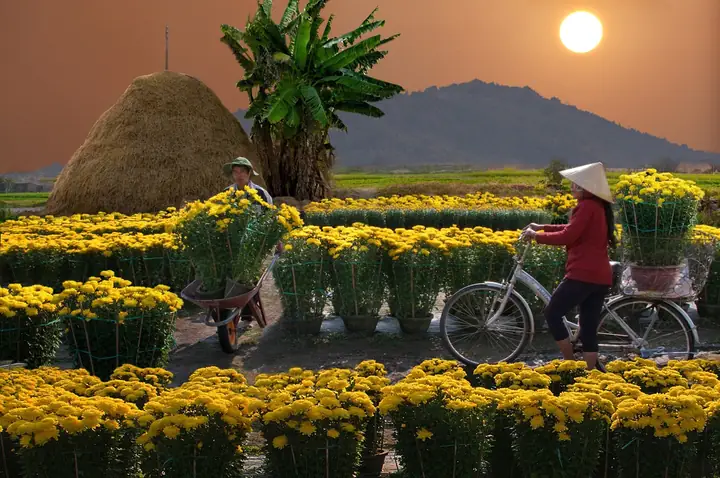 Mọi người thường làm gì vào ngày Tết? Khám phá nét đẹp văn hóa Việt Mọi Người Thường Làm Gì Vào Ngày Tết