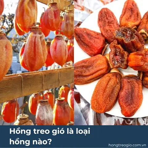 Hồng Treo Gió Là Loại Hồng Nào? Hồng Treo Gió Là Loại Hồng Nào?