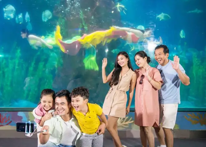 Lịch Biểu Diễn Nàng Tiên Cá