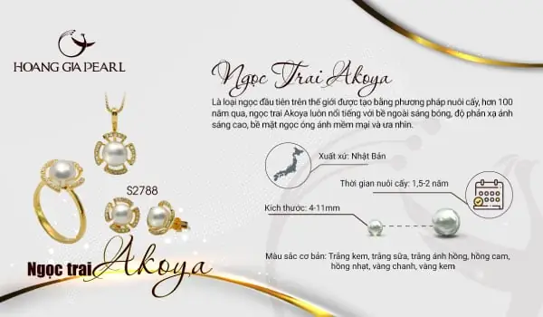 Ngọc Trai Biển Akoya Ngọc Trai Biển Akoya