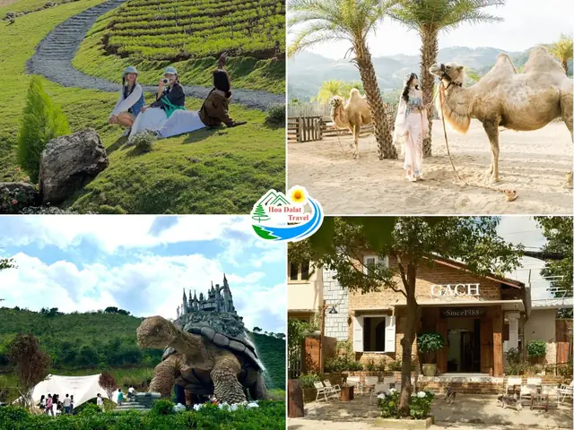 Top 12 Những Địa Điểm Đang Hot Ở Đà Lạt Nhất Định Phải Check In Ngay