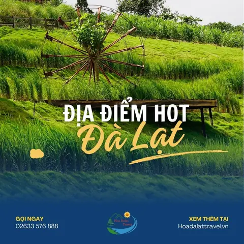 Địa Điểm Hot Ở Đà Lạt