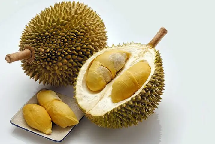 Sầu Riêng, Mít Có Được Mang Lên Máy Bay Không? Sầu Riêng, Mít Có Được Mang Lên Máy Bay Không?