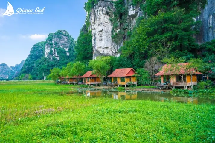 Lotus Field Homestay Lotus Field Homestay
