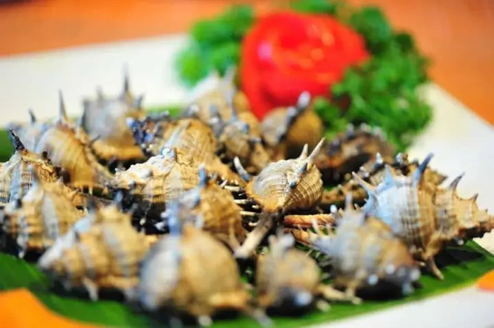 14. Lộng Gió Hải Sản Đà Nẵng – Ăn Hải Sản Đà Nẵng Ở Đâu Ngon Và Rẻ 14. Lộng Gió Hải Sản Đà Nẵng – Ăn Hải Sản Đà Nẵng Ở Đâu Ngon Và Rẻ