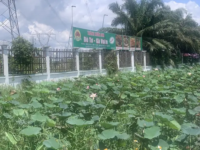 Quán Bò Tơ Gà Vườn Thành Xuân Anh
