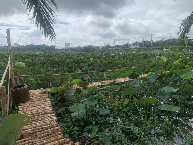 Quán Bò Tơ Gà Vườn Thành Xuân Anh