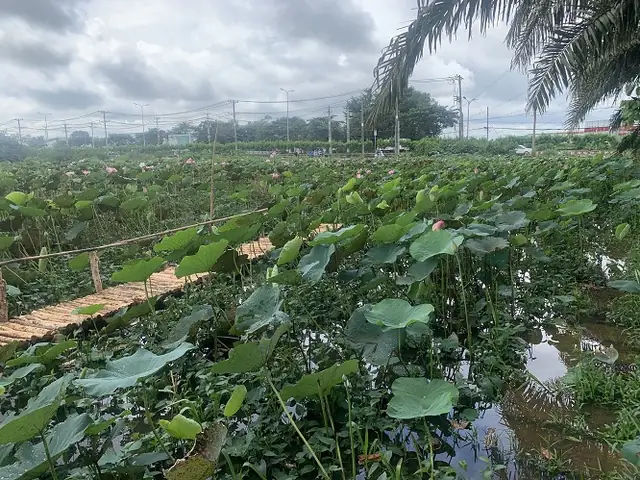 Quán Bò Tơ Gà Vườn Thành Xuân Anh