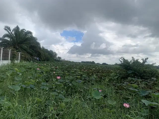 Quán Bò Tơ Gà Vườn Thành Xuân Anh