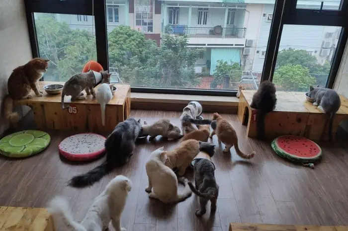 Review Ngao’s Home Review Ngao’s Home