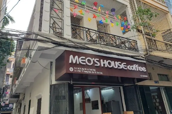 Review Meo's House Coffee Review Meo's House Coffee