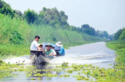 Rừng U Minh Thuộc Tỉnh Nào? Khám Phá Địa Danh Miền Tây Rừng U Minh Thuộc Tỉnh Nào