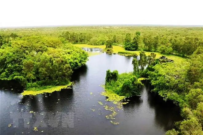 Vườn Quốc Gia U Minh Thượng - Khu Rừng Độc Đáo, Quý Hiếm Trên Thế Giới Ảnh 1 Vườn Quốc Gia U Minh Thượng - Khu Rừng Độc Đáo, Quý Hiếm Trên Thế Giới Ảnh 1