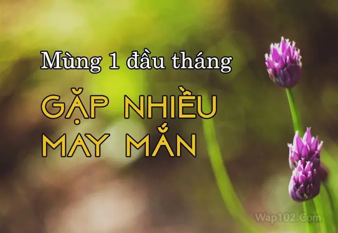 Hình Ảnh Lời Chúc Mùng 1 Đầu Tháng Hay Hình Ảnh Lời Chúc Mùng 1 Đầu Tháng Hay