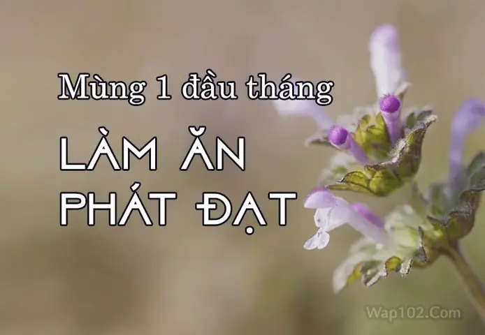 Hình Ảnh Lời Chúc Mùng 1 Đầu Tháng Hay Hình Ảnh Lời Chúc Mùng 1 Đầu Tháng Hay