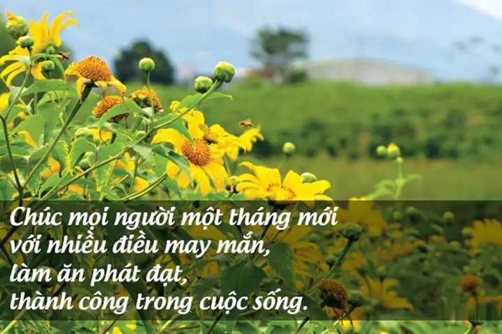 Hình Ảnh Lời Chúc Mùng 1 Đầu Tháng Hình Ảnh Lời Chúc Mùng 1 Đầu Tháng