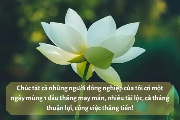Hình Ảnh Lời Chúc Mùng 1 Đầu Tháng Hay Hình Ảnh Lời Chúc Mùng 1 Đầu Tháng Hay