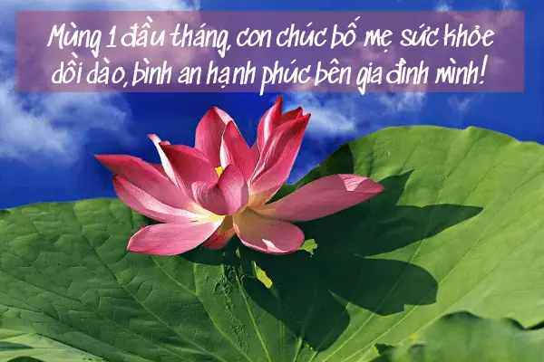 Hình Ảnh Lời Chúc Mùng 1 Đầu Tháng Hay Hình Ảnh Lời Chúc Mùng 1 Đầu Tháng Hay