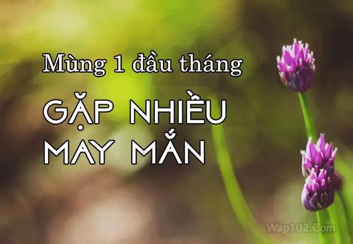 Hình Ảnh Lời Chúc Mùng 1 Đầu Tháng Hay Hình Ảnh Lời Chúc Mùng 1 Đầu Tháng Hay