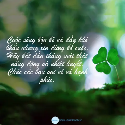 Ảnh Kèm Lời Chúc Đầu Tháng May Mắn, Bình An Ảnh Kèm Lời Chúc Đầu Tháng May Mắn, Bình An