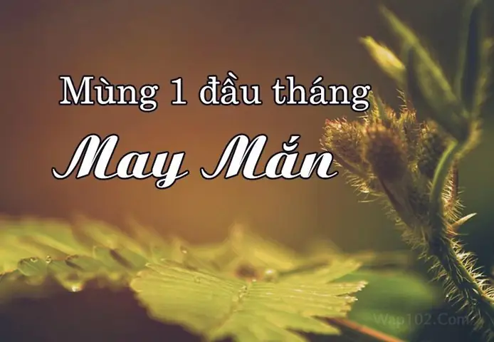 Hình Ảnh Lời Chúc Mùng 1 Đầu Tháng Hay Hình Ảnh Lời Chúc Mùng 1 Đầu Tháng Hay