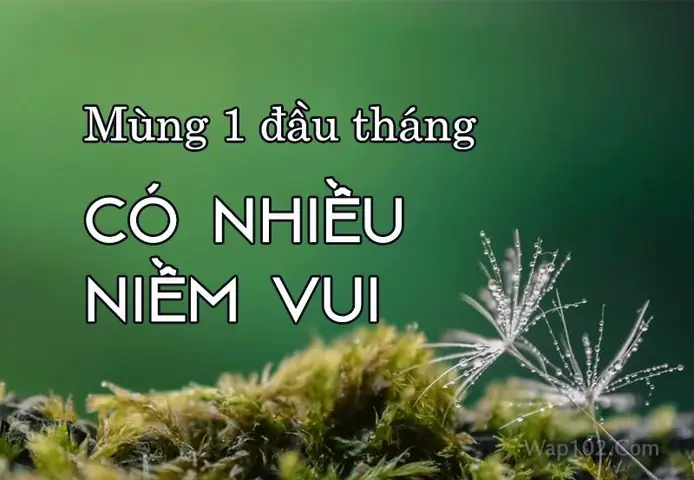 Hình Ảnh Lời Chúc Mùng 1 Đầu Tháng Hình Ảnh Lời Chúc Mùng 1 Đầu Tháng