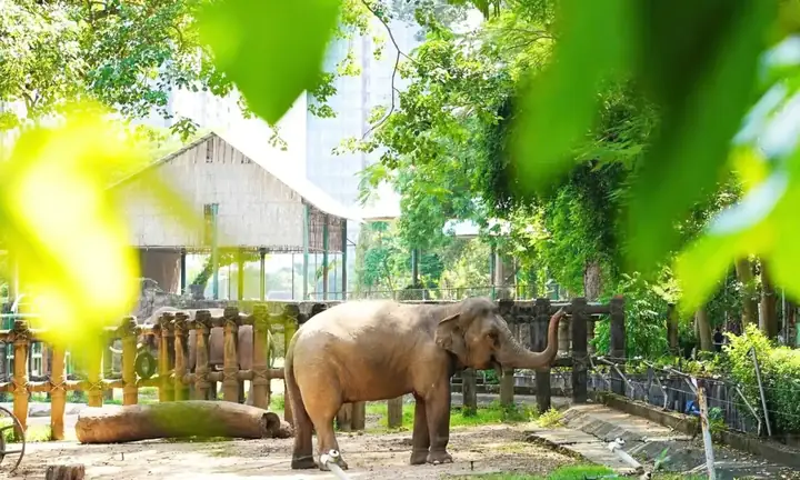 Khám Phá Thảo Cầm Viên