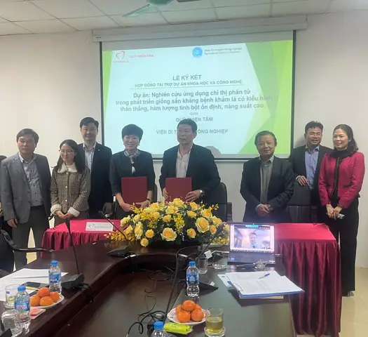 Quỹ Thiện Tâm Tài Trợ 15 Tỷ Đồng Nghiên Cứu Giống Sắn Kháng Bệnh Khảm Lá Quỹ Thiện Tâm Tài Trợ 15 Tỷ Đồng Nghiên Cứu Giống Sắn Kháng Bệnh Khảm Lá
