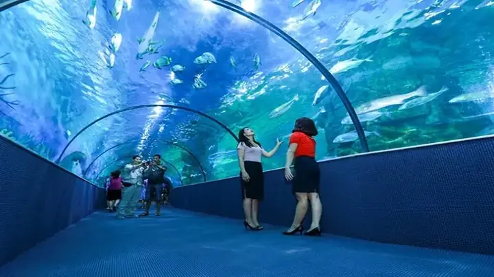 3. Viện Hải Dương Học 3. Viện Hải Dương Học