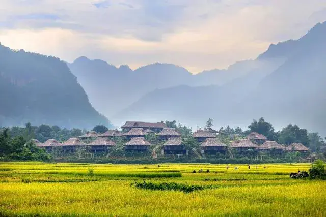 Kết Nối Cộng Đồng Qua Nghệ Thuật Dệt May