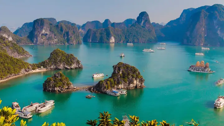 Kinh nghiệm chọn Tour Du lịch Hà Nội Hạ Long: Trọn gói, chi tiết A-Z Tối: Quý Kháchtự Dodạo Chơi Dọc Biển Bãi Cháy, Đi Mua Sắm Hàng Hóa Tại Khuchợ Đêm Hạ Long, Lên Cầubãi Cháy– Cây Cầu Dây Văng Dài Nhất Việt Nam Ngắm Hạ Long Về Đêm.