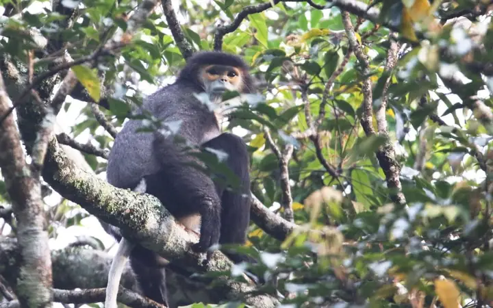 Notable Species