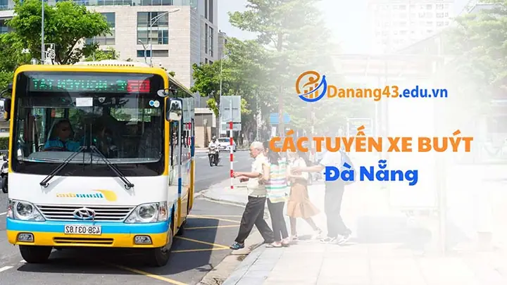Đà Nẵng Có Nhiều Tuyến Xe Buýt Không?