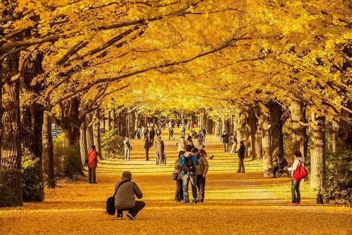 Công Viên Showa Kinen