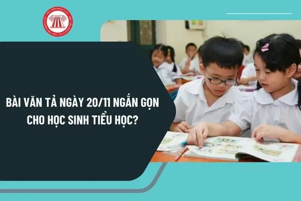 Đoạn Văn Mẫu 1: Buổi Lễ Tri Ân Đầy Hào Hứng Đoạn Văn Mẫu 1: Buổi Lễ Tri Ân Đầy Hào Hứng