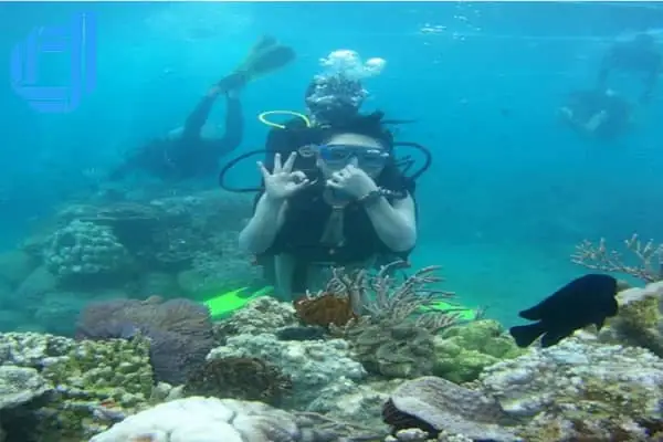 Ngày 2:tour Du Lịch Bình Định Nha Trang 3 Ngày 2 Đêm Tham Quan 3 Đảo Nha Trang ( Ăn Sáng/ Trưa/ Tối)